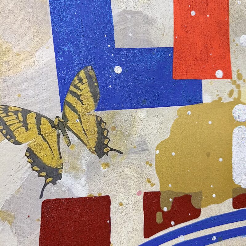 IMG 6569